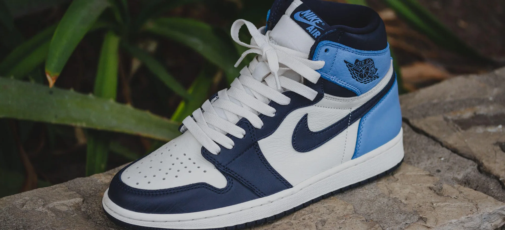 Elevate Your Sneaker Game