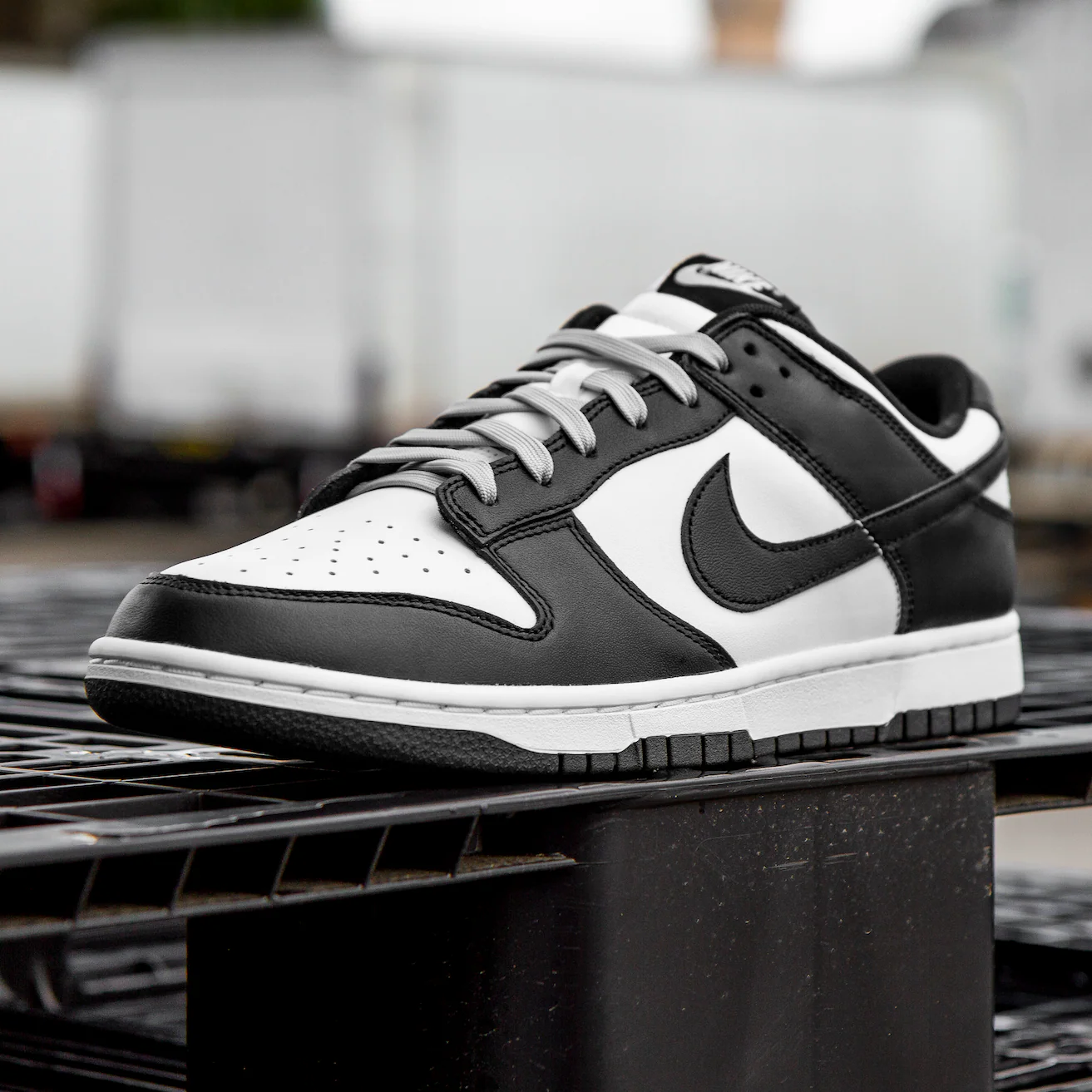 Light Grey Dunk Replacement Shoelaces - Image 3