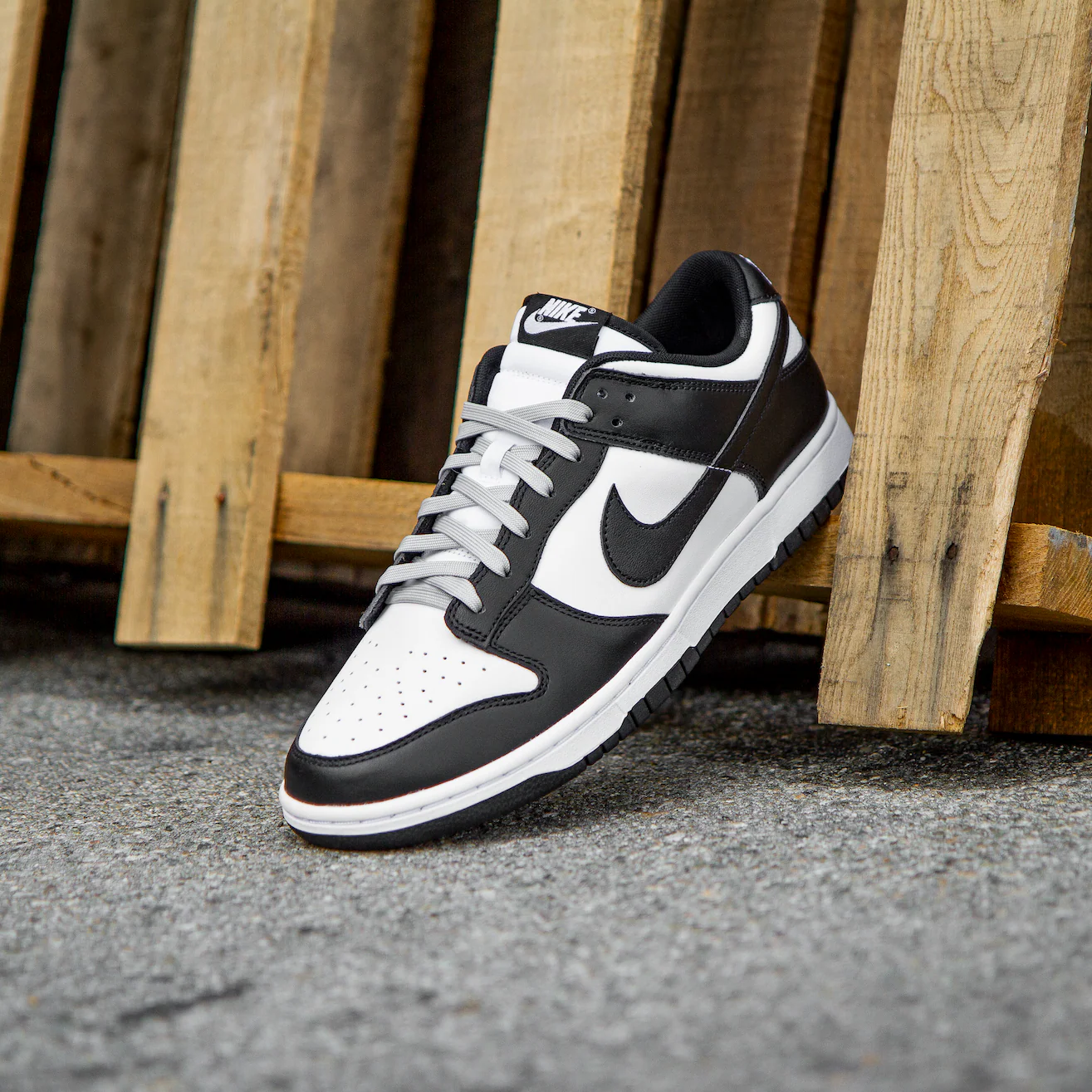 Light Grey Dunk Replacement Shoelaces - Image 4